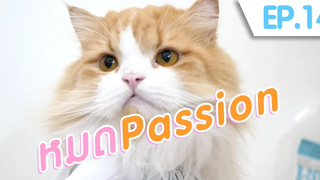 พบคุณหมอฟู | หมด passion