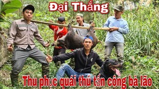 Team Săn Bắt Ẩm Thực Vùng Cao Thu Phục Quái Thú Tấn Công Bà Lão.Rottweier Mun Lập Đại Chiến Công