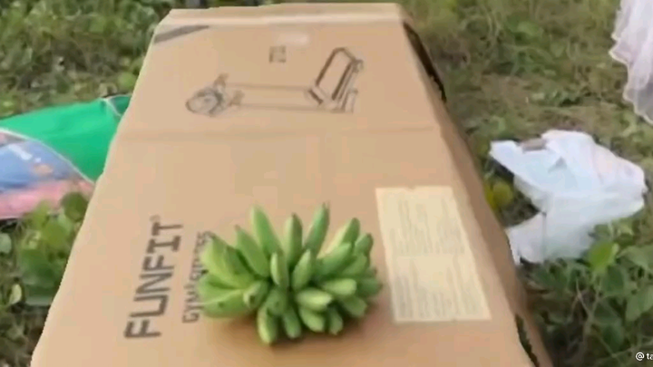 Tấu hài cực mạnh