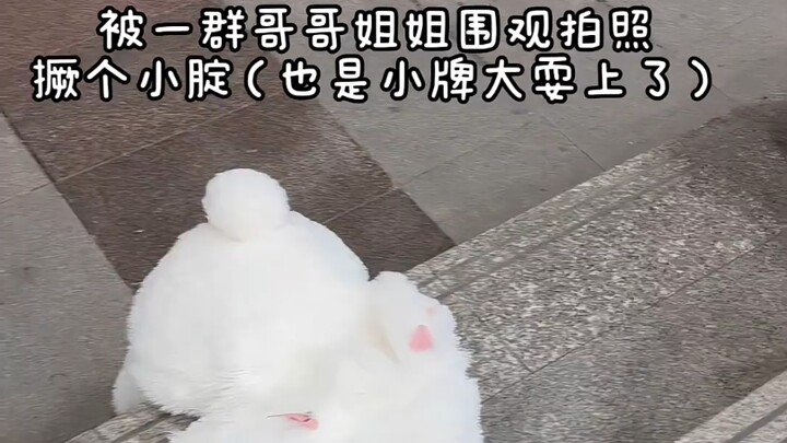 قليل من التدليل وبس، وفجأة بدأت تتصرف بغرور الستّ الصغيرة!