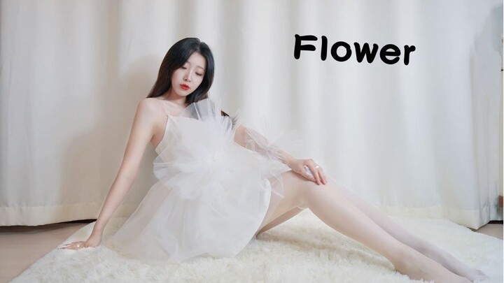 [The Pigeon King Returns] Vertical Screen Flower Cover Dance White Rose or Red Rose [Xuan Ge] Kim Ji