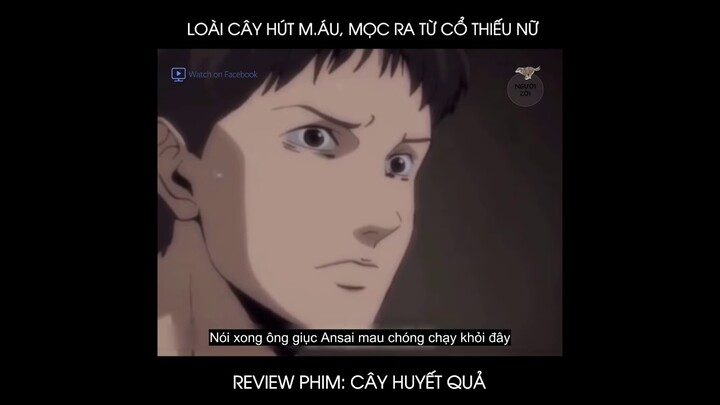 Cây Huyết Quả || Review Anime