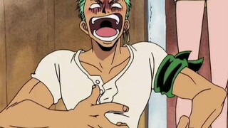 CUMA NAMI YANG BISA BIKIN ZORO SEPERTI INI