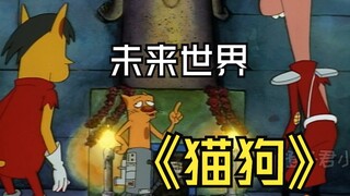 未来世纪被老鼠统治，猫狗来到未来，拯救世界！