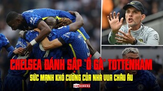 CHELSEA ĐÁNH SẬP “Ổ GÀ” TOTTENHAM | SỨC MẠNH KHÓ CƯỠNG CỦA NHÀ VUA CHÂU ÂU