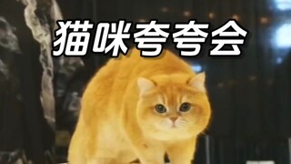 สัมผัสประสบการณ์ "Cat Praise Meeting" ที่พิธีกรพูดจาไพเราะจับใจ