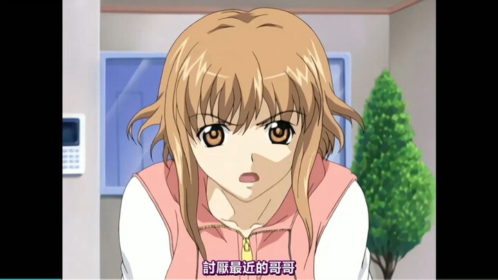【经典老番】是我的金渐层义妹