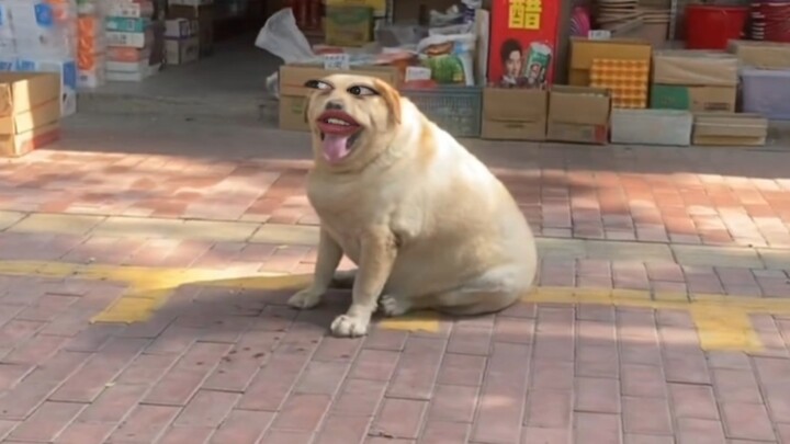 ต่างจากฉันนะน้องสาว ฉันมีคนคอยสนับสนุนอยู่แล้ว