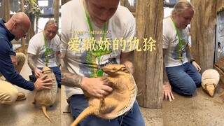 犰狳怎么跟小狗狗一样呀，还会跟人类撒娇!!!