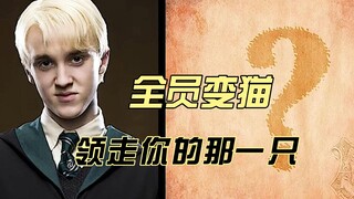 【哈利波特】全员猫咪变形术，海格好圆，分院帽是个意外