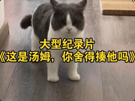 สารคดีขนาดใหญ่เรื่อง “นี่คือทอม คุณกล้าต่อยเขาไหม?”
