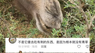 Ăn ngon miệng thế này, sao vẫn còn người không tin nhỉ