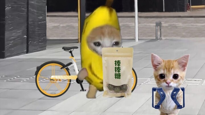 Banana Cat cried again after sharing all the snacks she bought with her life savings.