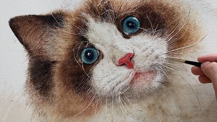 What exactly am I doing wrong???