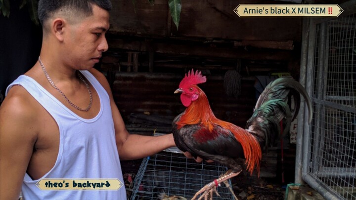 breeding purpose‼️