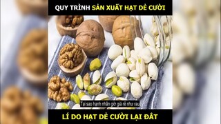 Quy trình sản xuất hạt Dẻ cười, lý do có giá cao | LT Review