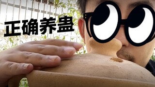 Làm thế nào để nuôi độc đúng cách? Hướng dẫn một phút từ vua độc Vân Nam