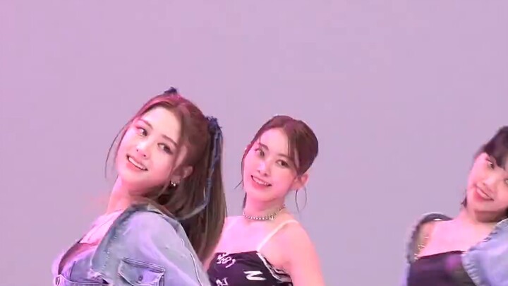 [Miyawaki Sakura] ภาพแนวตั้งแนวตั้งของ Sumida Edelweiss (กล้องที่ไม่มีไฟล์ 'Antifragile') 4K | เป็นต