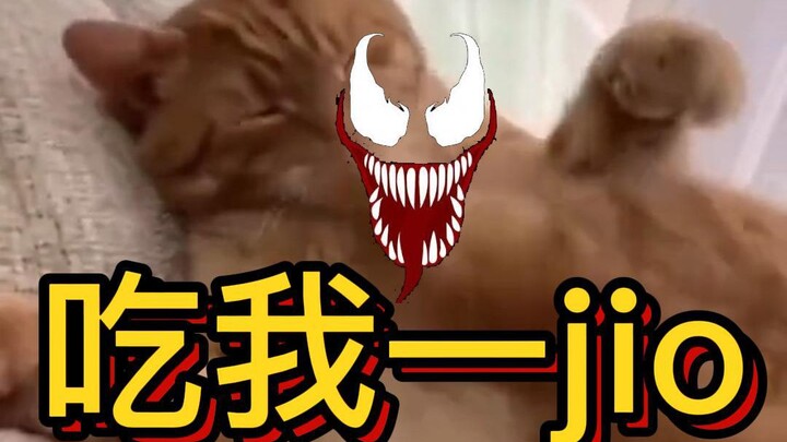 النسخة المعاد إصدارها من «فيلم فيلم: الحامي القاتل ميو» – تروي قصة الحب والصراع بين المتكافل الفضائي