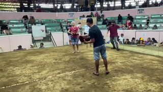 KORONADOS🔥- 2 HITS FIRST FIGHT, WIN