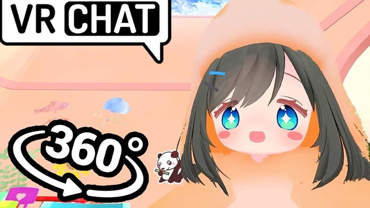 和小仓鼠一起玩捉迷藏吧【全景视频】