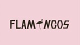 【Cover/PV Pay】Flamingo/Flamingo【神楽めあ】