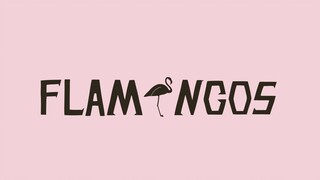 【翻唱/PV付】火烈鸟 / Flamingo【神楽めあ】