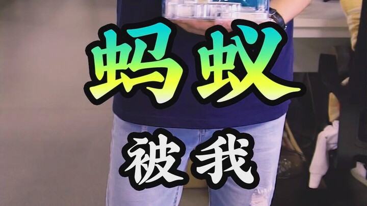Đám kiến tôi nuôi còn lười hơn cả trợ lý nhỏ! Hừ!