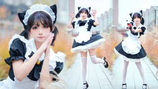 Maid☆Supremacy【Original Choreography】❤️Please favor me, meow!