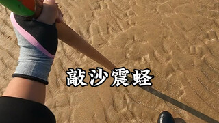 赶海人老王敲击沙滩震蛏王