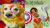 Thú Cưng TV | Gâu Đần và Bà Mẹ #34 | Chó Golden Gâu Đần thông minh vui nhộn | Pets cute smart dog