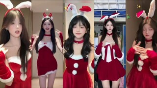 Natal sebentar lagi! Saudara-saudara, musim semi juga akan datang! Indah dan lebih indah lagi!