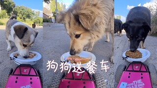 用送餐车来给街边的流浪狗狗送外卖 ❤️