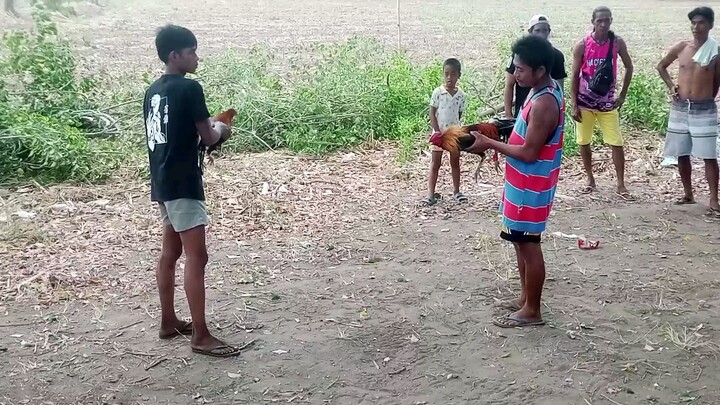 3 × winer putol bituka 🥺