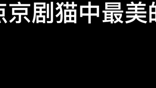 A list of the most beautiful cats in Peking Opera Cats (female)