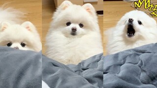 因为不抱他上床，气到翻脸的狗勾