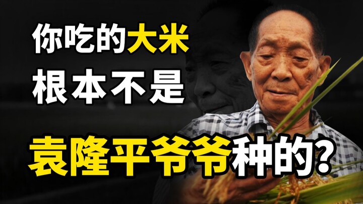[Cold Water Finance] Is the rice you’re eating actually not grown by Grandpa Yuan Longping?