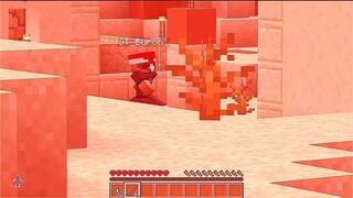 Minecraft nhưng bạn có thể Trao Đổi với Tất Cả Quái Vật