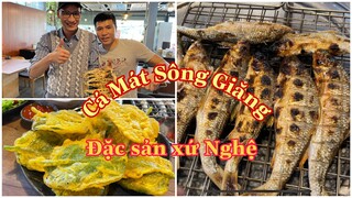 Cá Mát SÔNG GIĂNG Ăn Một Lần Nhớ Mãi