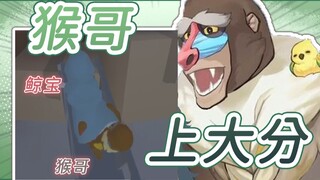 猴哥扒拉鲸宝！猴哥耍流氓的证据找到了！【魈格Yezpi 希月萌奈】