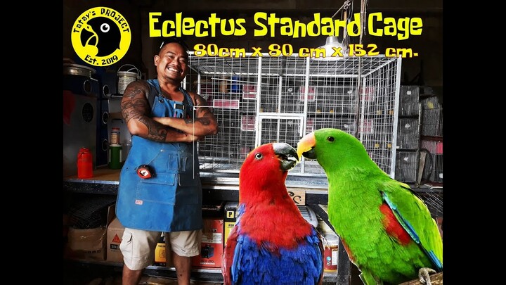 Eclectus Standard Cage