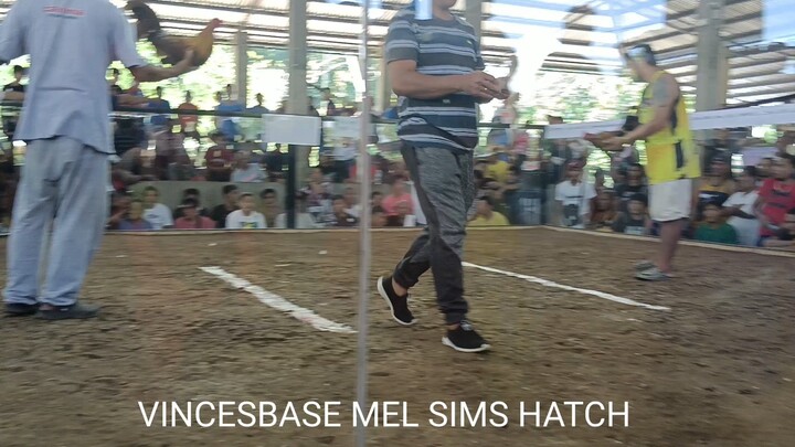 VINCESBASE MEL SIMS HATCH