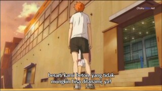 haikyu #hinata shoyou
