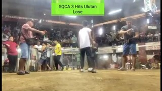 SQCA 3 Hits Derby