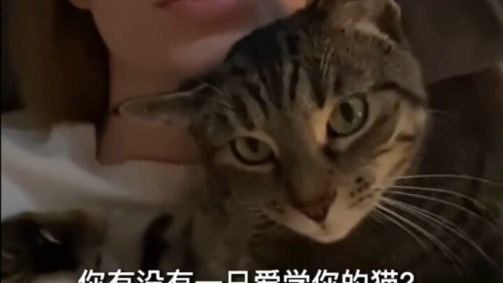When you have a cat that loves to imitate you