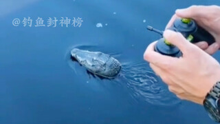 How to quickly help anglers quit fishing