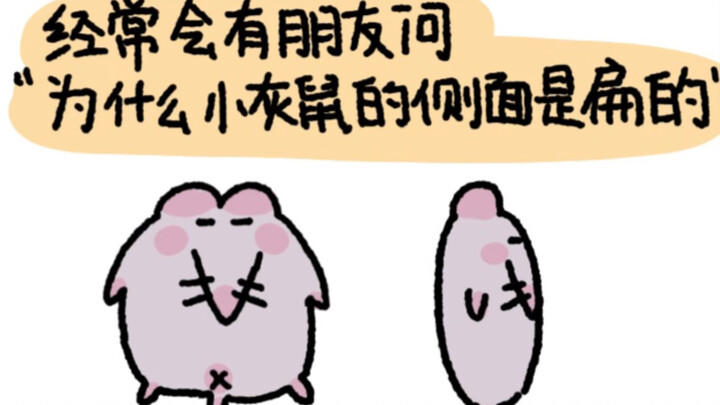 หัวแบนของหนูสีเทาตัวเล็ก