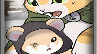 黑塔里最强的魔法师仓鼠艾欧娜却被这只白猫一拳打飞了数米