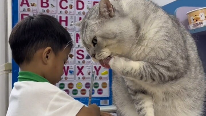 Cat: Wash your hands—soon it’s time to eat kids.