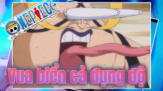 Khi 2 vị vua biển cả đụng độ